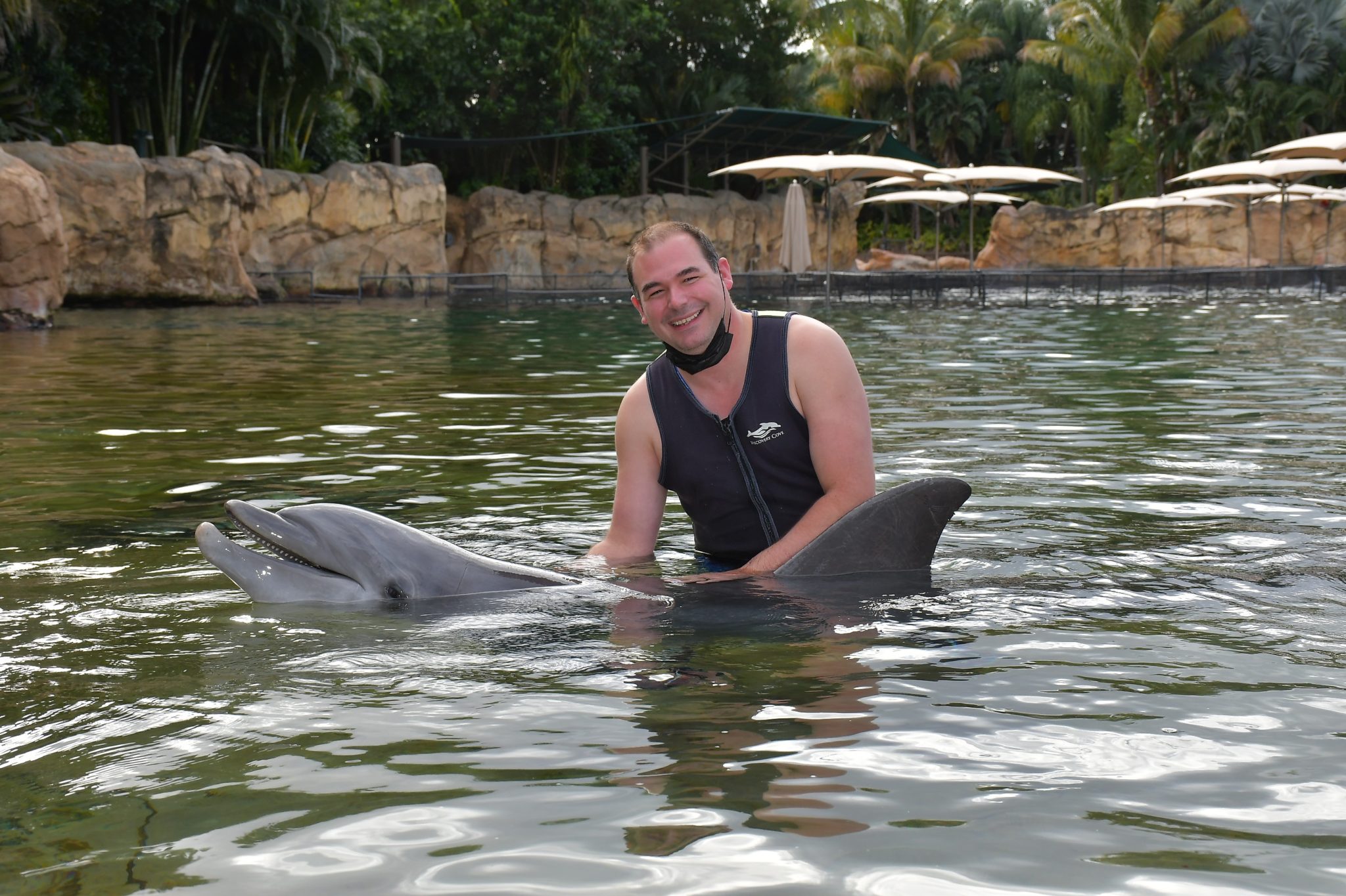 Pin on Swimming with the Dolphins