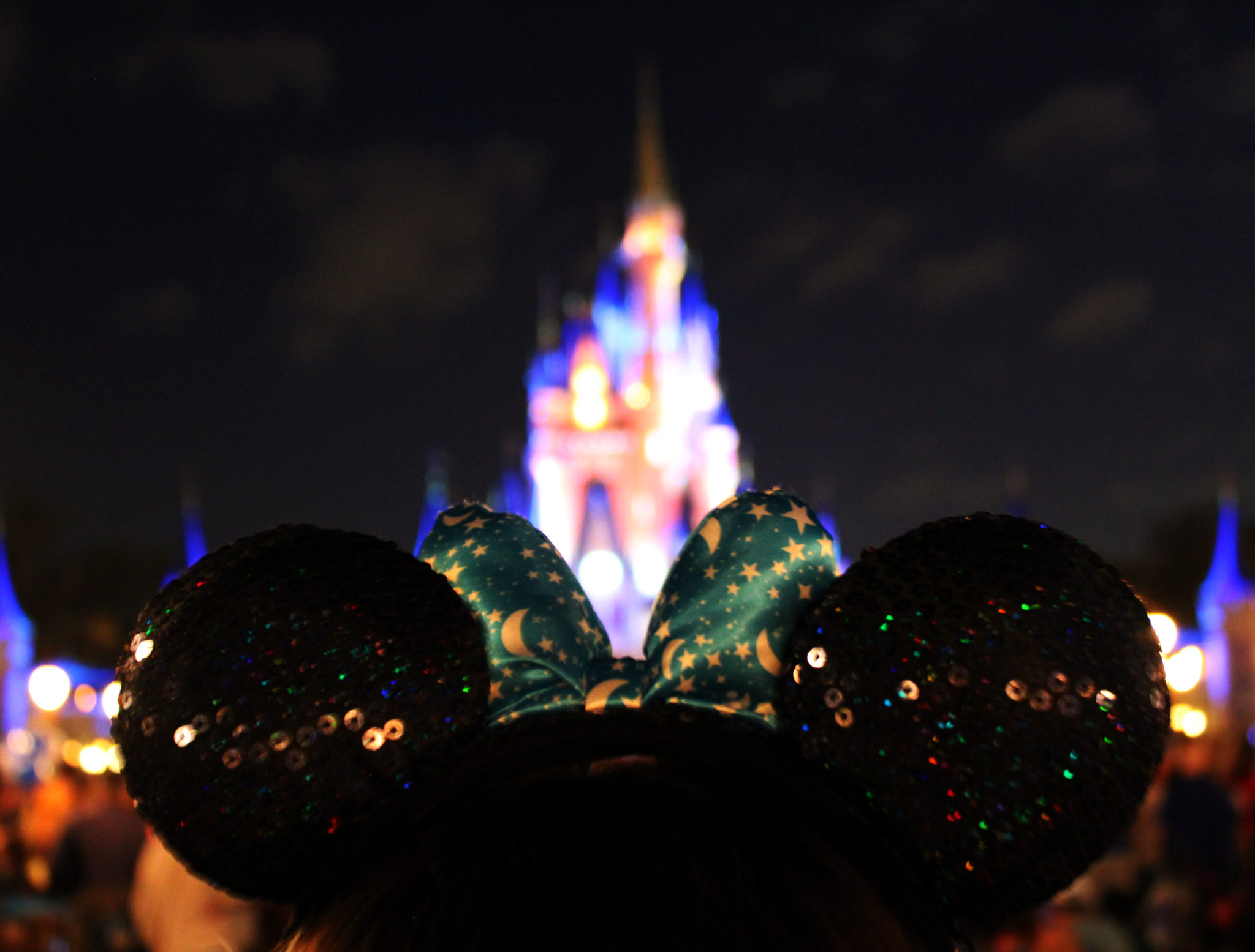 The back of Chelsea's head with Minnie ears looking at the Castle.