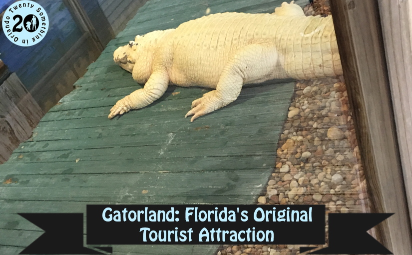 Gatorland: Florida’s Original Tourist Attraction