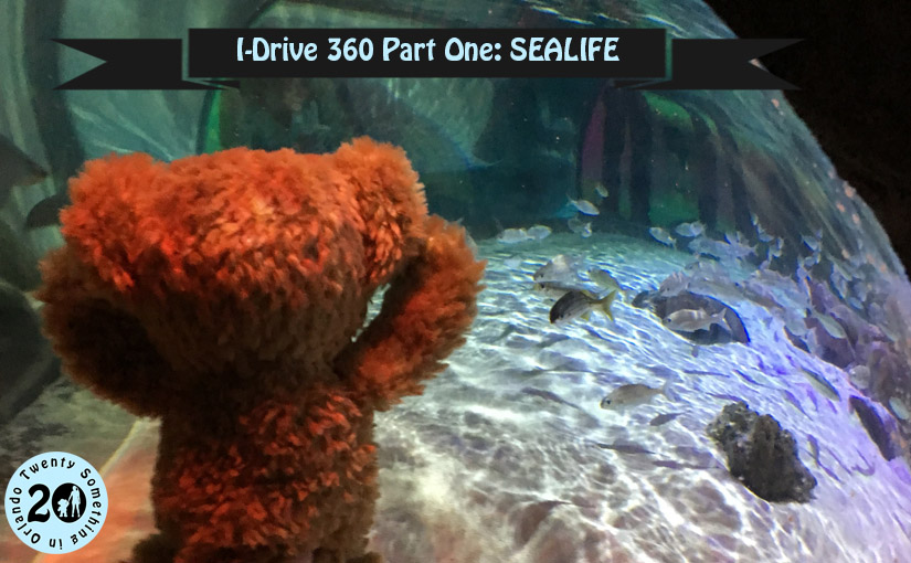 I-Drive 360 Part One: SEALIFE