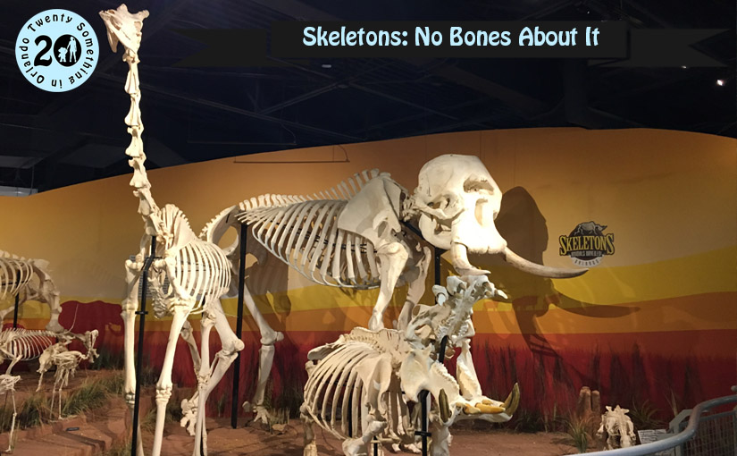 Skeletons: No Bones About It • Twenty Something In Orlando