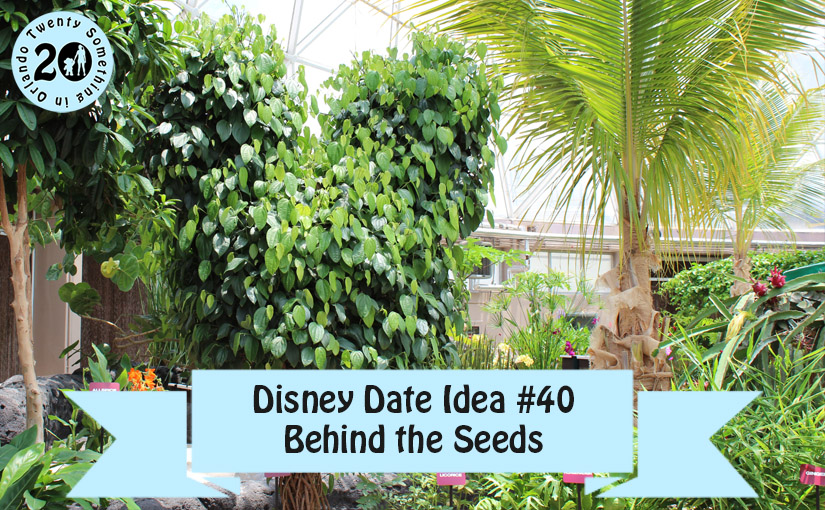 Disney Date Idea #40 Behind the Seeds