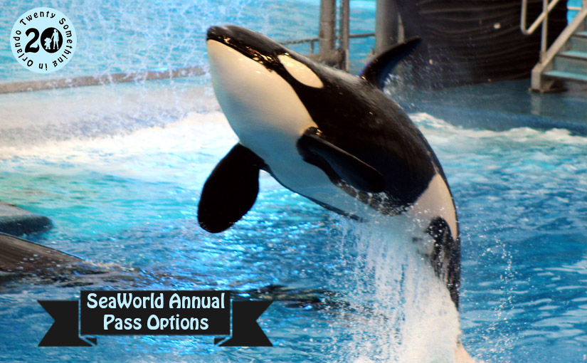 Which SeaWorld Annual Pass is Right for You? • Twenty Something In Orlando