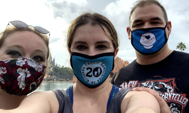 Theme Park Life in the Pandemic