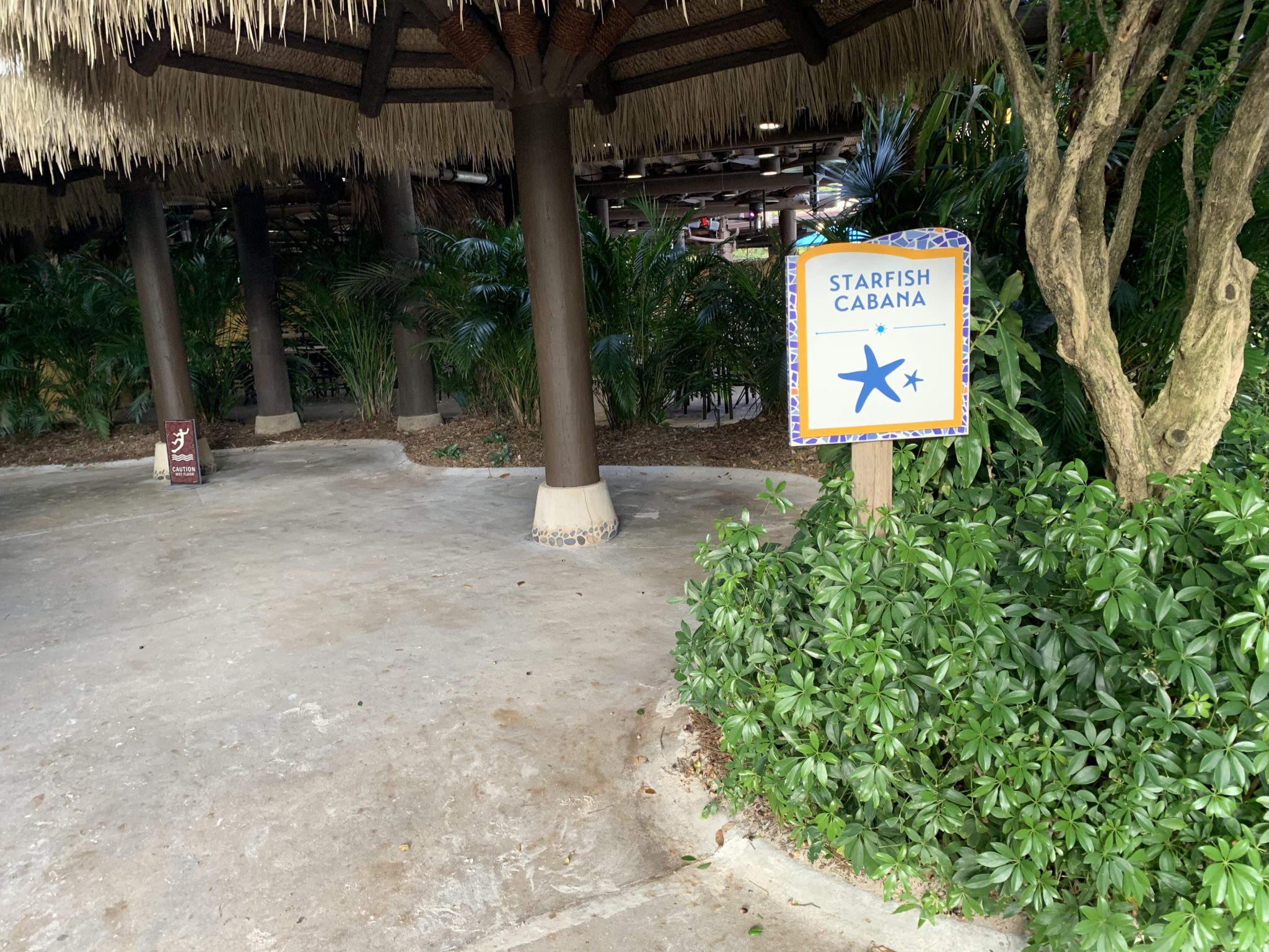 Starfish Cabana